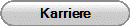 Karriere
